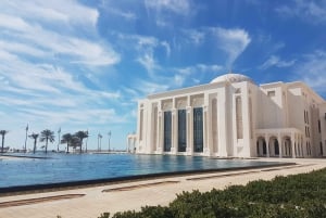 Dubaï : Excursion d'une journée à Abu Dhabi Grande mosquée, palais royal et déjeuner