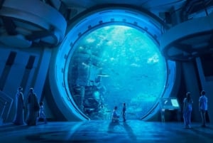 Dubái: ticket de entrada al parque temático de Abu Dabi con traslado