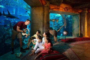 Dubai Explorer Pass : Économisez jusqu'à 50 % - Burj Khalifa inclus