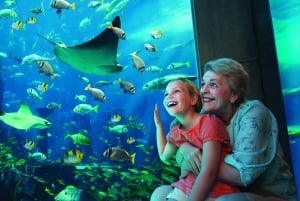 Dubai All-Inclusive Pass: Save up to 50% on 50+ Attractions