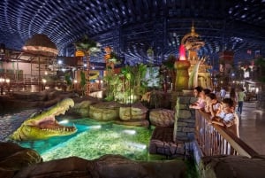 Dubai All-Inclusive Pass: Save up to 50% on 50+ Attractions