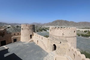 Dubaï : Mosquée Sheikh Zayed, Fujairah et Khorfakkan Tour