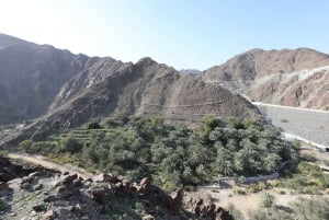 Dubaï : Mosquée Sheikh Zayed, Fujairah et Khorfakkan Tour