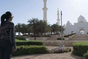 Dubai: Sheikh Zayed-moskeen og SeaWorld med transport