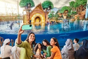 Dubai: Sheikh Zayed-moskeen og SeaWorld med transport
