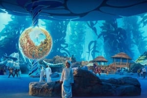Dubai: Sheikh Zayed-moskeen og SeaWorld med transport
