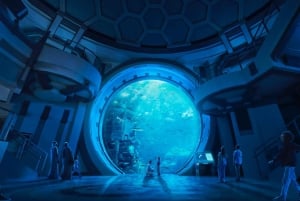 Dubai: Sheikh Zayed-moskeen og SeaWorld med transport