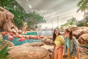Dubai: Sheikh Zayed-moskeen og SeaWorld med transport
