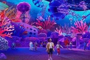 Dubai: Sheikh Zayed-moskeen og SeaWorld med transport
