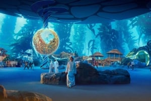 Dubai: Sheikh Zayed-moskeen og SeaWorld med transport
