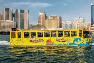 Dubai: Wonder Bus Amphibious Tour & Abu Dhabi Full Day Trip
