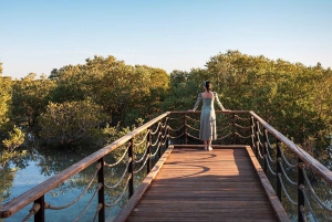 Tutustu Abu Dhabiin: 2 päivän kulttuurimatka Dubaista