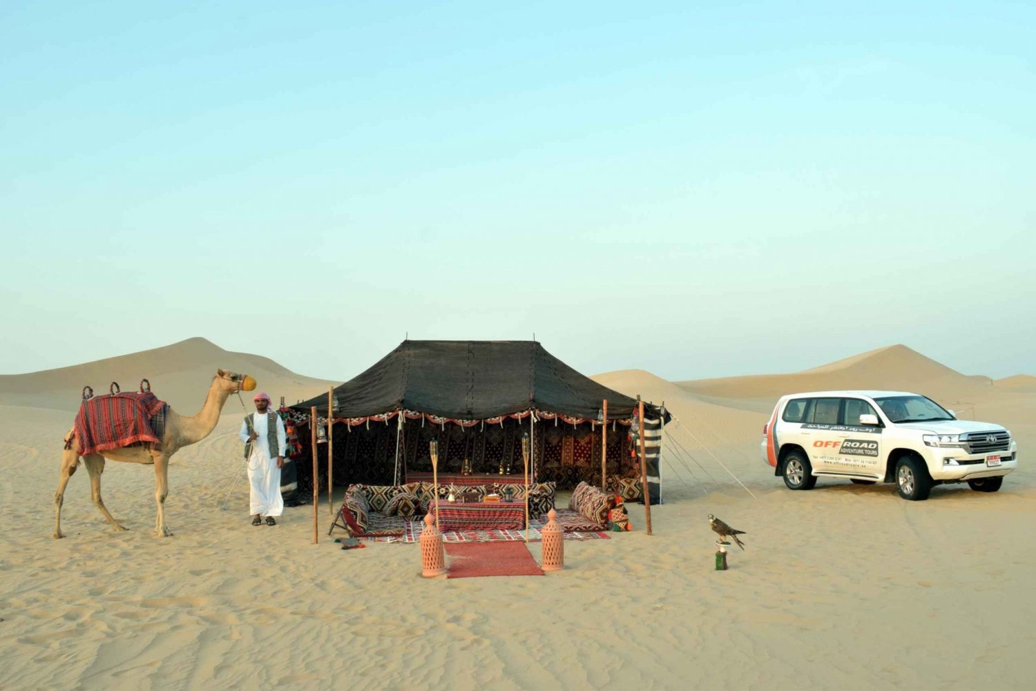 De Abu Dhabi: excursão matinal de 4 horas no deserto