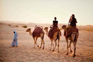 De Abu Dhabi: Excursão matinal de 4 horas ao deserto