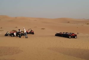 Au départ d'Abu Dhabi : Excursion matinale de 4 heures dans le désert