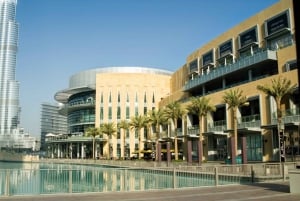 Au départ d'Abu Dhabi : Visite d'une jounée de Dubaï avec déjeuner facultatif