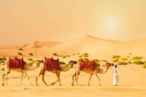 Desde Abu Dhabi: Safari por el desierto en conducción en dunas