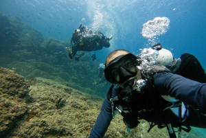 From Abu Dhabi: 2 Dives for Certified Divers with transfer