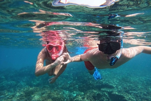 From Abu Dhabi: Scuba Dive and Snorkeling with BBQ, Transfer