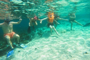 Da Abu Dhabi: Snorkeling con le tartarughe a Fujairah con barbecue