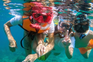 Da Abu Dhabi: Snorkeling con le tartarughe a Fujairah con barbecue