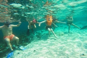 Fra Abu Dhabi: Snorkling med skildpadder i Fujairah med BBQ