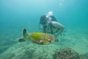 Da Abu Dhabi: Immersioni subacquee e snorkeling con barbecue, trasferimento