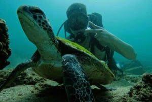 Da Abu Dhabi: Immersioni subacquee e snorkeling con barbecue, trasferimento