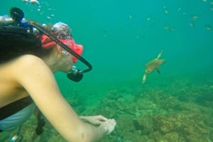From Abu Dhabi: Try Diving and Snorkeling in Fujairah