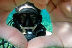 From Abu Dhabi: Scuba Dive and Snorkeling with BBQ, Transfer