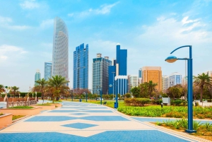 Från Dubai: Abu Dhabi City Sightseeing & Sheikh Zayed-moskén