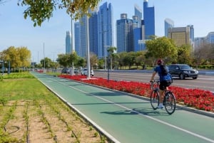 Från Dubai: Abu Dhabi City Sightseeing & Sheikh Zayed-moskén