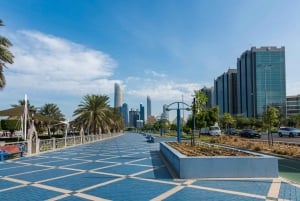 Från Dubai: Abu Dhabi City Sightseeing & Sheikh Zayed-moskén