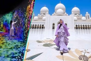 Desde Dubái: tour de la ciudad de Abu Dabi con experiencia teamLab