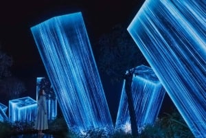 Desde Dubái: tour de la ciudad de Abu Dabi con experiencia teamLab