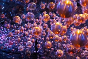 Desde Dubái: tour de la ciudad de Abu Dabi con experiencia teamLab