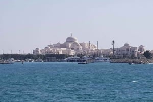 Da Dubai: Tour della città di Abu Dhabi