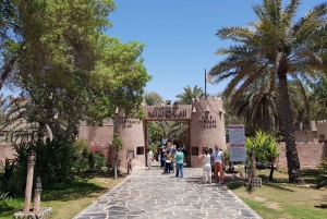 Fra Dubai: Byrundtur i Abu Dhabi