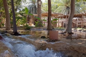 Fra Dubai: Byrundtur i Abu Dhabi