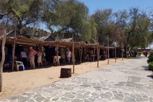 Fra Dubai: Byrundtur i Abu Dhabi