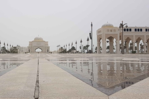 Из Дубая: однодневный тур в Абу-Даби с Qasr al Watan