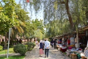 Desde Dubái: Tour por el patrimonio de Abu Dabi: Al Hosn y Village.