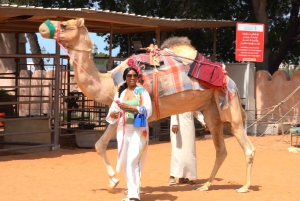Desde Dubái: Tour por el patrimonio de Abu Dabi: Al Hosn y Village.