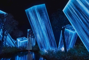 Dubaista: Abu Dhabin Louvre, TeamLab ja Zayed-museokierros