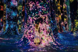 Dubaista: Abu Dhabin Louvre, TeamLab ja Zayed-museokierros