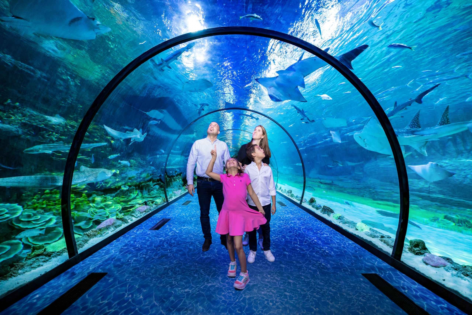 From Dubai: Abu Dhabi Private Tour with Aquarium Tickets