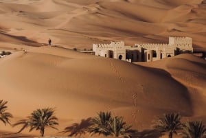 Desde Dubai: Traslado privado a Qasr Al Sarab