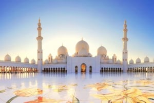 Tour dell'iconica città di Abu Dhabi