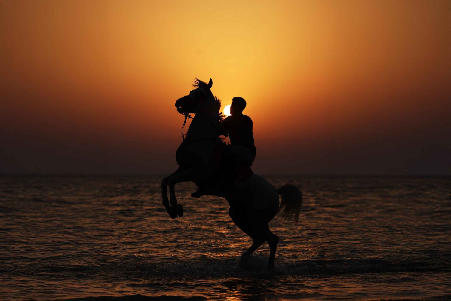 Liwa : aventure équestre dans le désert