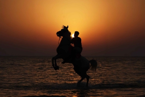 Liwa : aventure équestre dans le désert